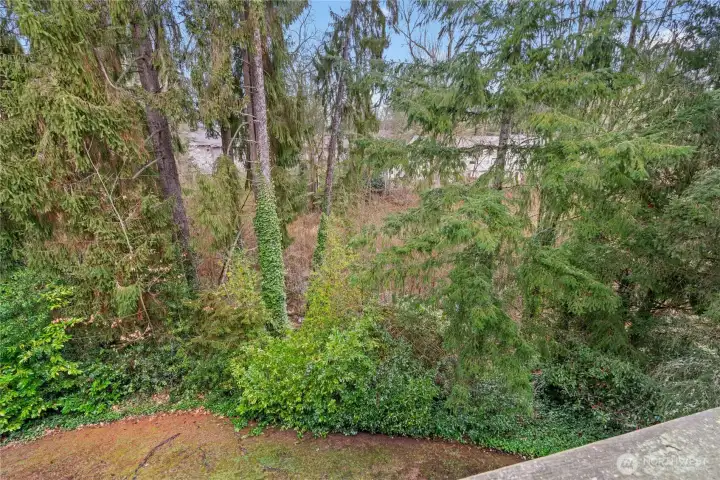 Hard to see, but a babbling brook sits down the slope and  beneath the trees.