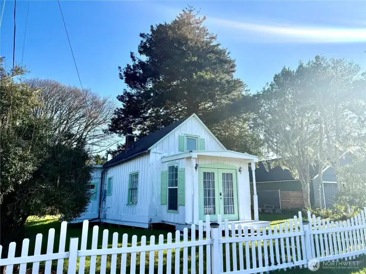 Look at the cedar tree in the back yard!