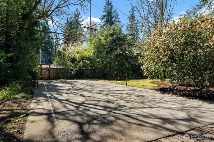 Pickleball court and or sport court