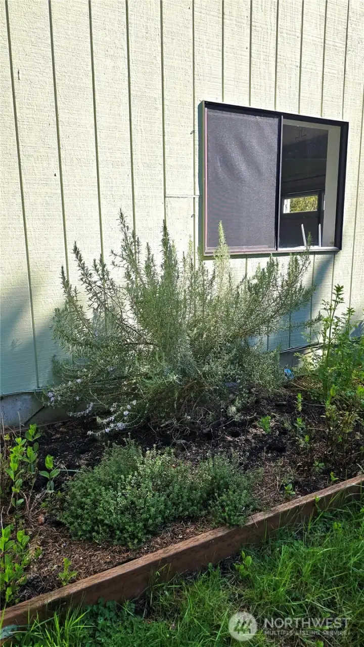 A sweet spot for growing herbs and gardending in the side yard.