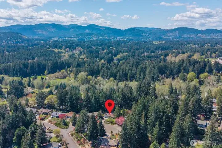 Perched atop a gentle hillside in West Olympia's Goldcrest neighborhood