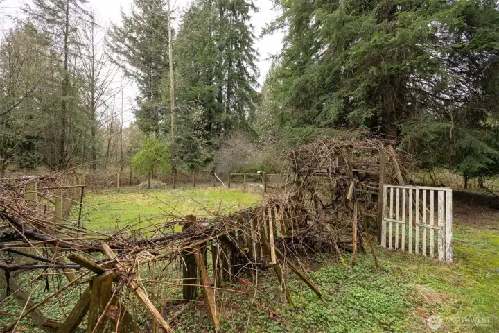 Looking at the back pasture area.