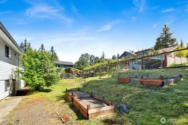 Large backyard w/garden boxes Large backyard w/garden boxes