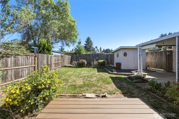View from primary with deck to back yard