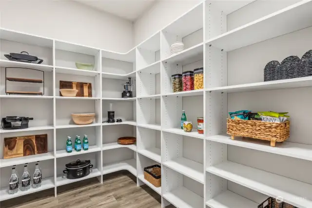 Plenty of storage in your massive pantry!