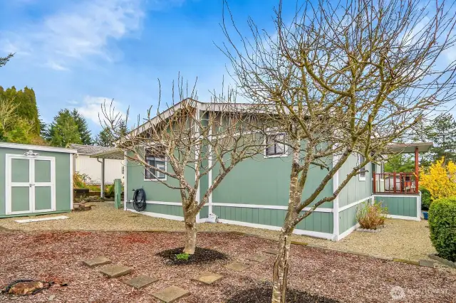 Backyard & Storage Shed.