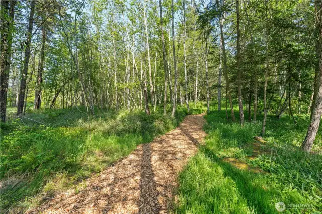 Trails on property
