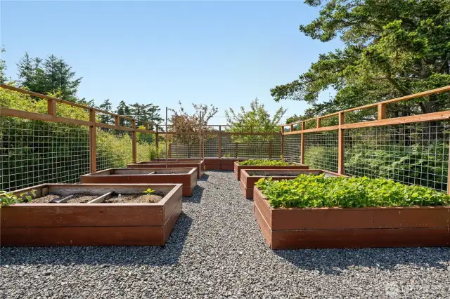 Fenced garden