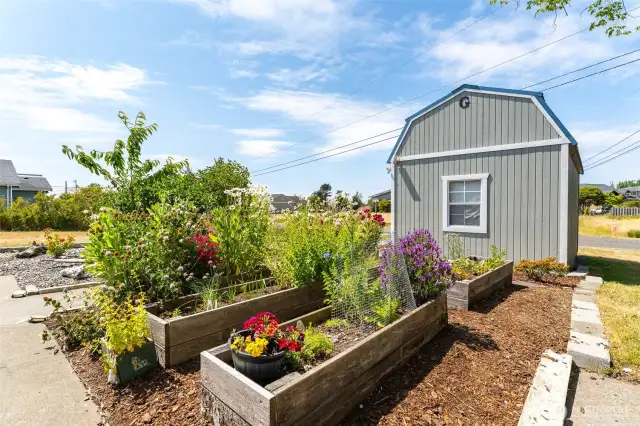 Storage shed and lovely flowerbeds