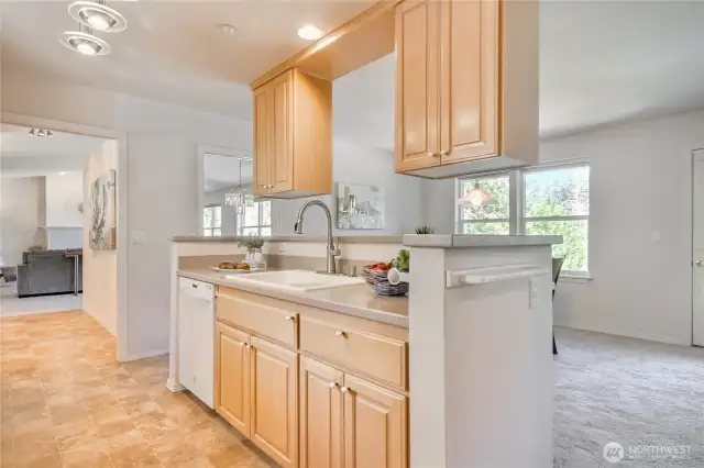 Open sltyle kitchen with lots of light and newer appliances.