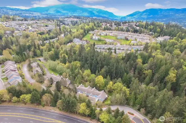 Aerial view of Forest Vilage looking towards mountains