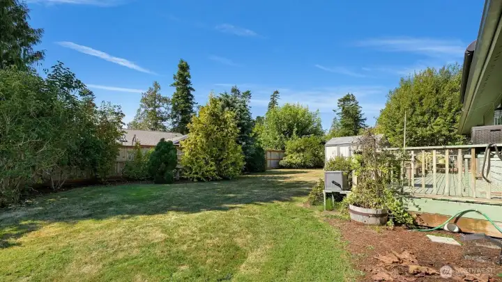 Back yard