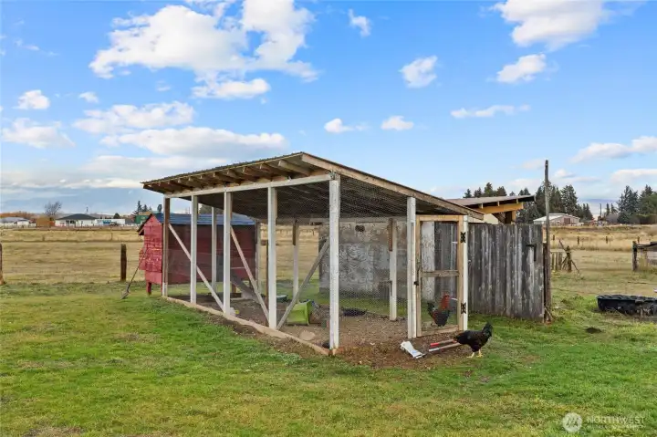 Chicken Coop