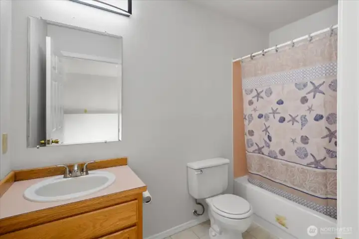 Lower level full bath