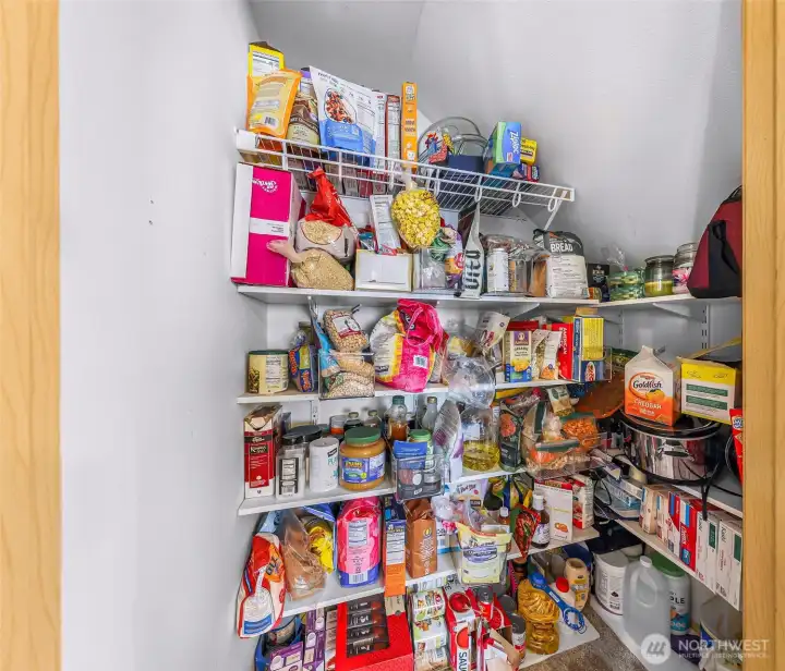 Under stair storage has been converted into the walk in pantry