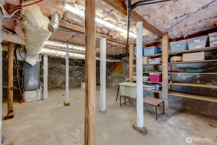 Basement with storage space