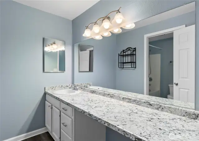 Guest bathroom.