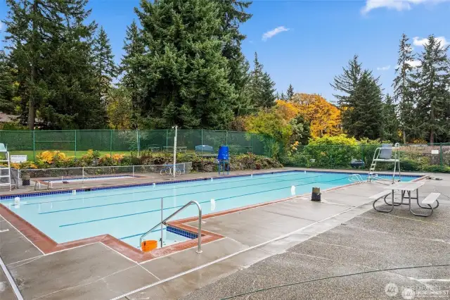 Community pool.