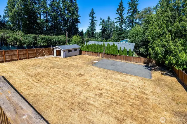 Massive fully fenced-in yard
