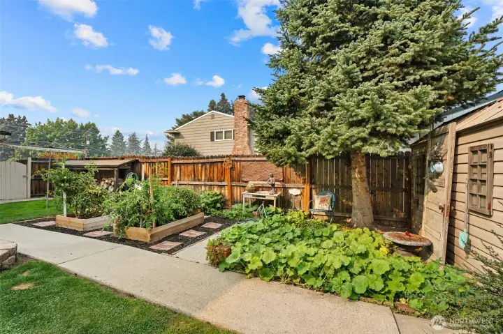 garden beds in rear yard