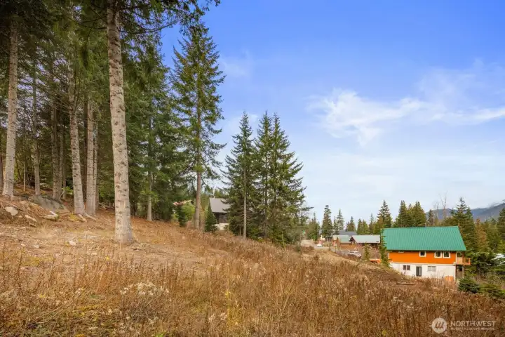 The generous double-lot size and commanding elevation easily accommodate luxury floor plans.