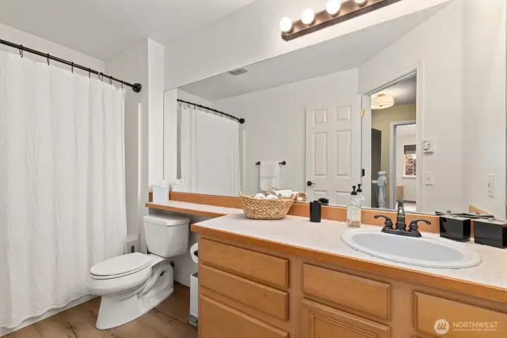 Full guest bath, new vanity