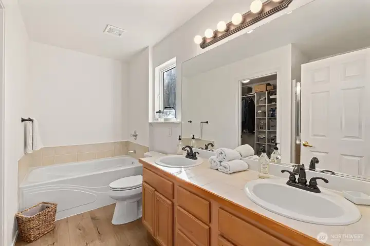 Large 5 piece bath; dual sinks, tub, shower (behind the door) and walk-in closet with custom insert