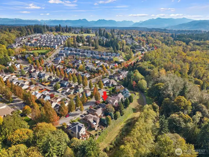 Trombley Hills is a beautiful, established neighborhood