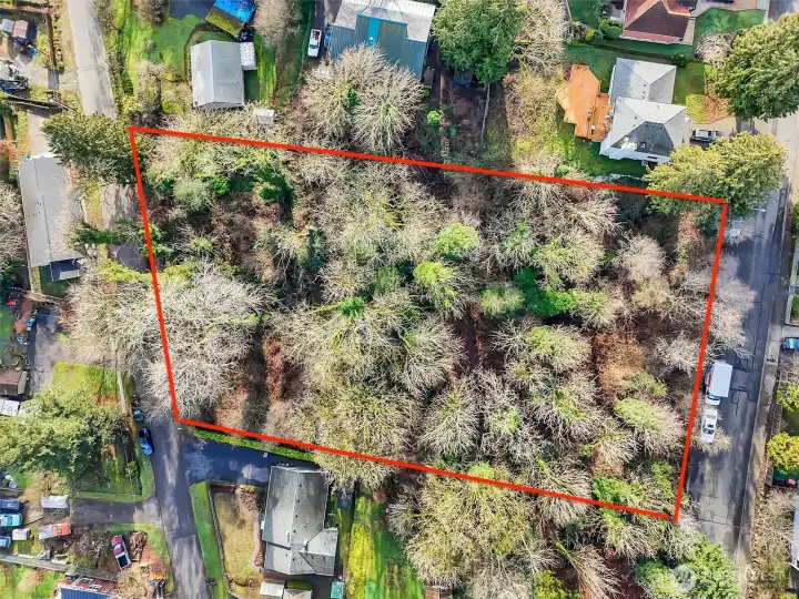 Amazing development opportunity