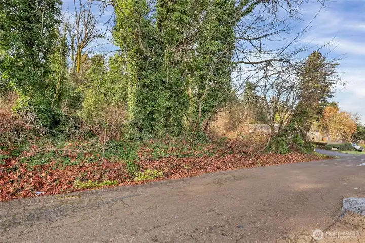 Well established neighborhood