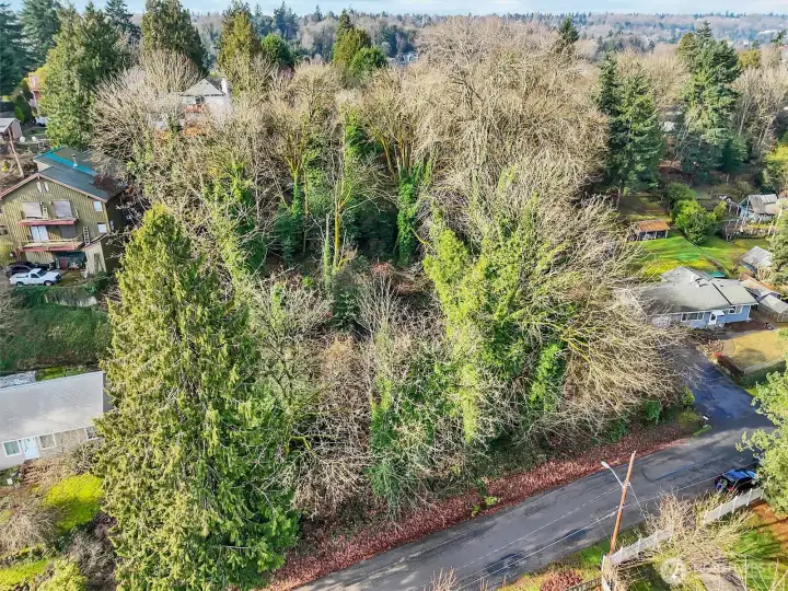 Lots of possibilities, bring your design & dreams!