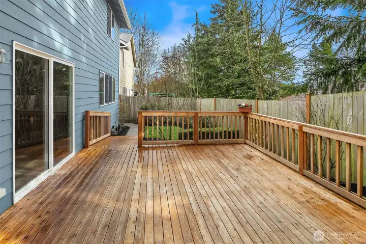 Backyard deck