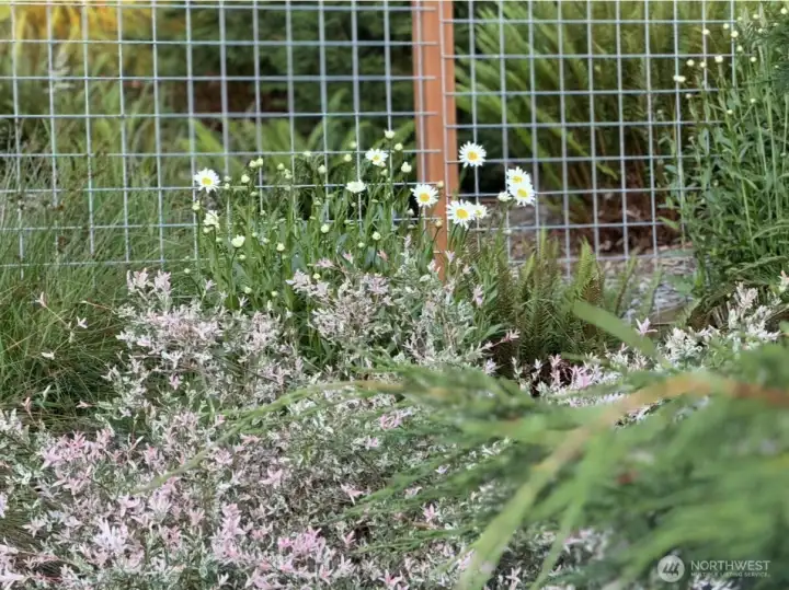Fully Fenced with deer resistant panels Fully Fenced with deer resistant panels