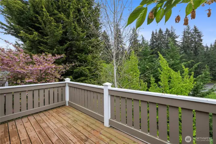 New deck on the main floor
