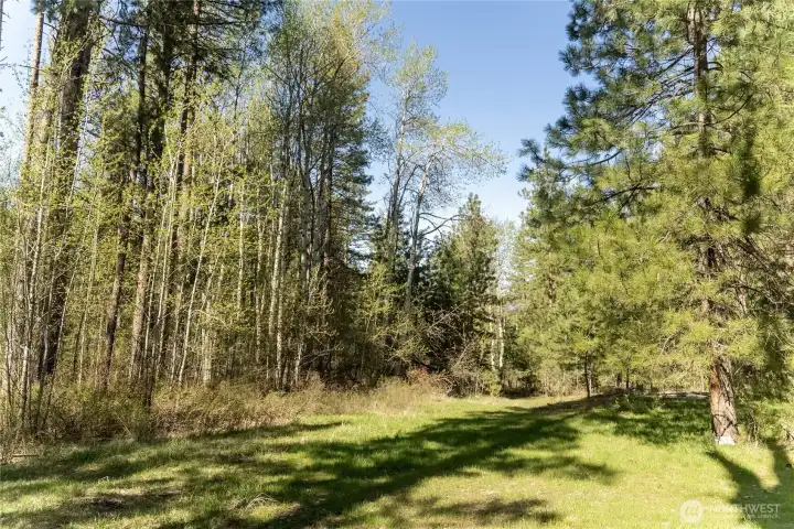 Secluded and peaceful 20 acre parcel, just @ 5 miles up Texas Creek.