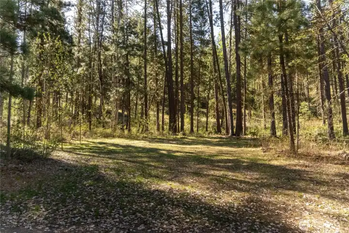 A private site surrounded by the sound of the forest and peace.