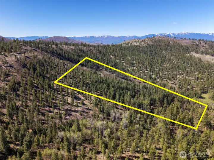 An estimated boundary of the parcel.