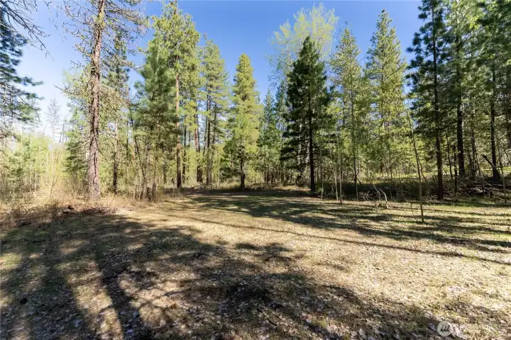 A clear, level site to situate your RV or create an off-grid, back to the land retreat!