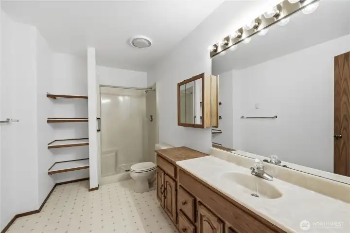Lower level bathroom