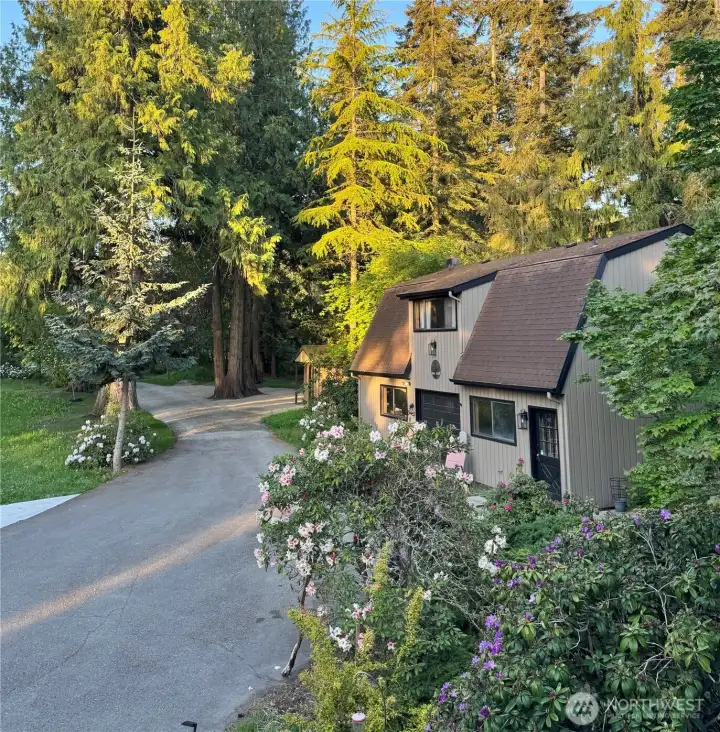Additional detached unit with studio apartment