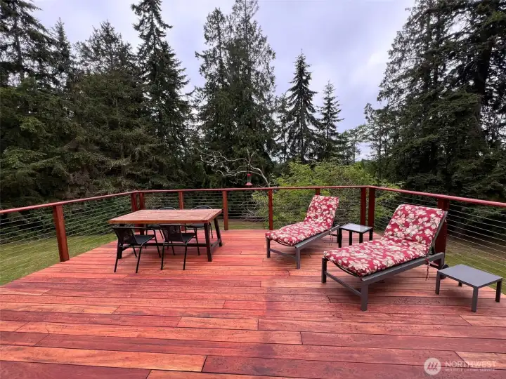 Rear deck in tigerwood.