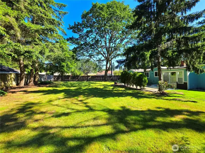 Mature trees add to the Serenity of nature in your back yard