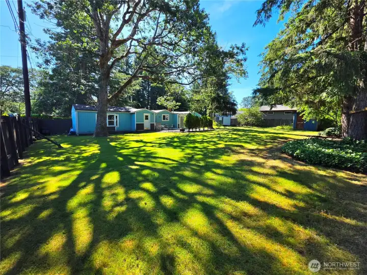 Very large back yard.  Two storage sheds