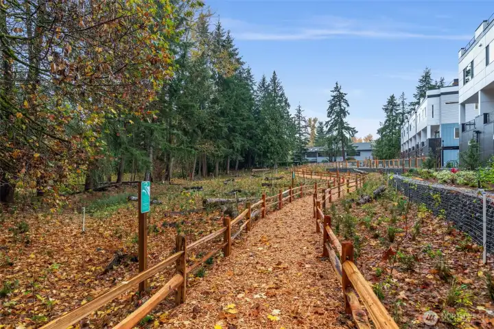 Photos are of a model home and are representative.