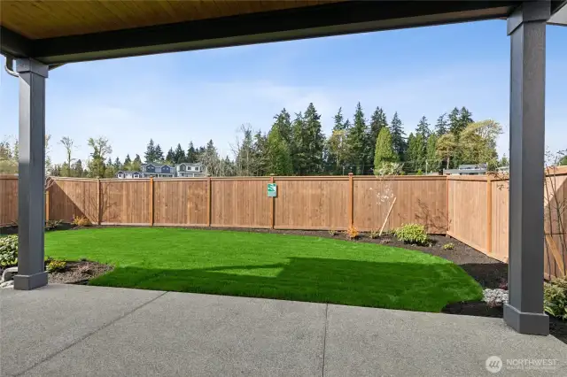Such a verdant outlook! Low maintenance yard!