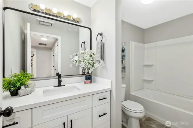 Guest Bathroom (main floor)