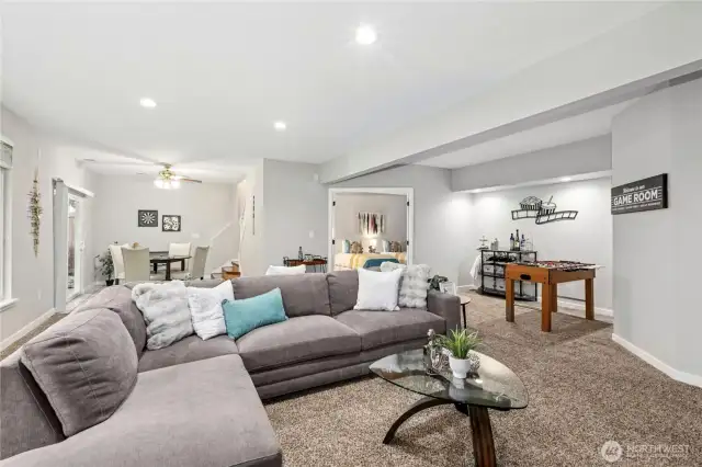 Massive Recreation Room (downstairs)