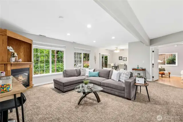 Massive Recreation Room (downstairs)