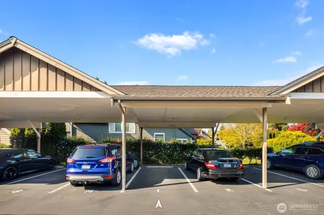 Designated covered spot - go ahead and park here when touring the home