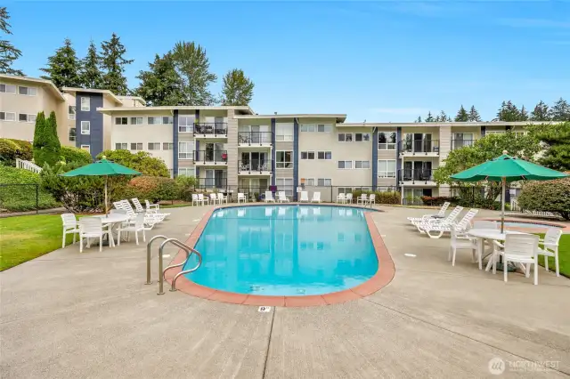 Community swimming pool